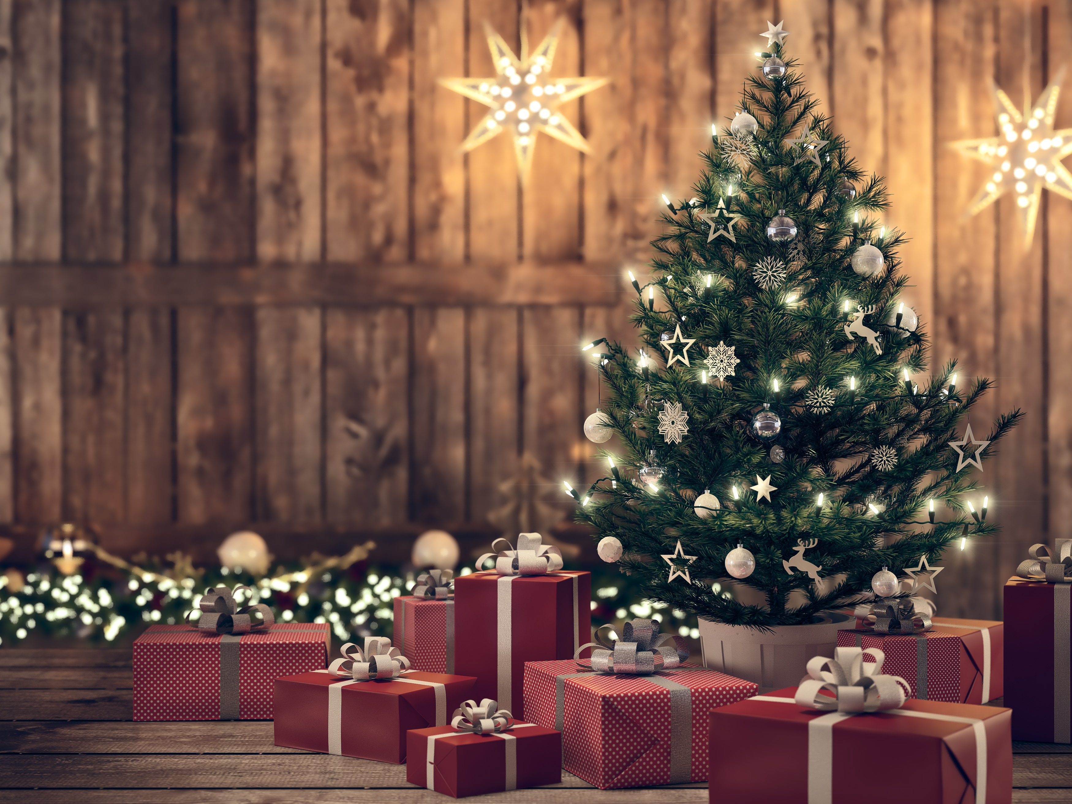 Como escolher a árvore de Natal perfeita para sua casa | CLAUDIA