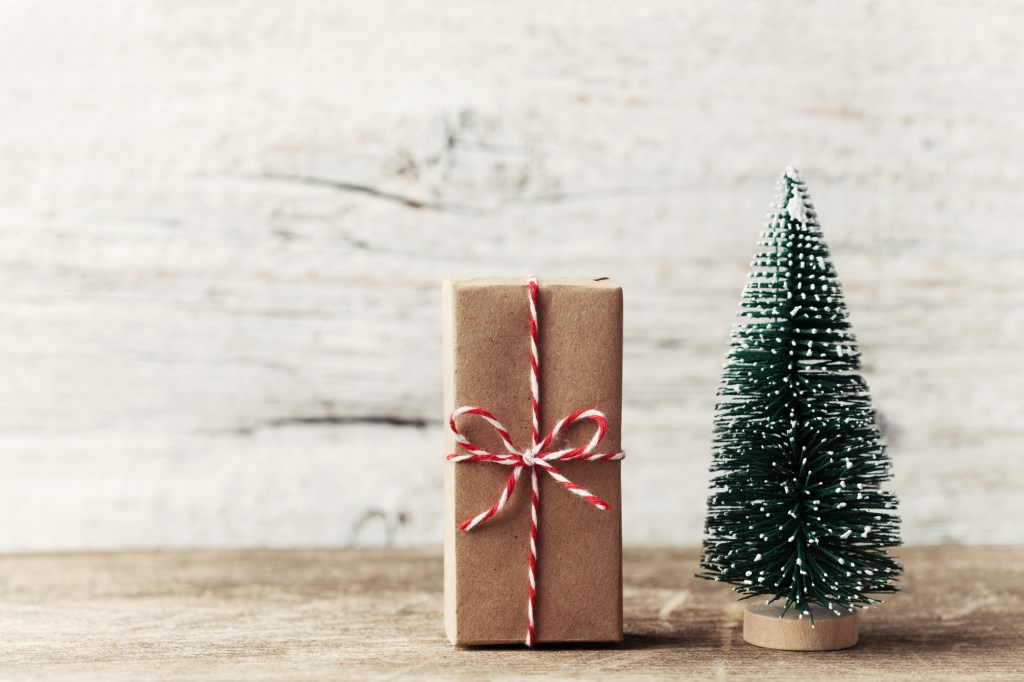 Árvore de Natal em miniatura ao lado de pacote de presente