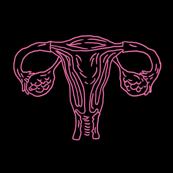 sistema-reprodutorio-feminino