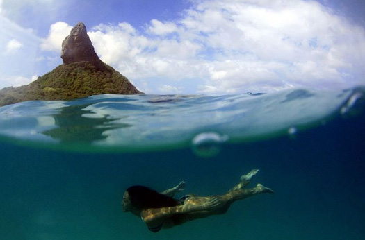 Dani Suzuki Dani Suzuki