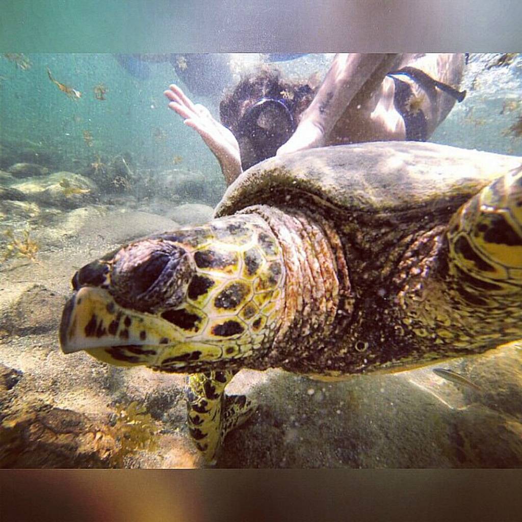 Deborah Secco em Fernando de Noronha