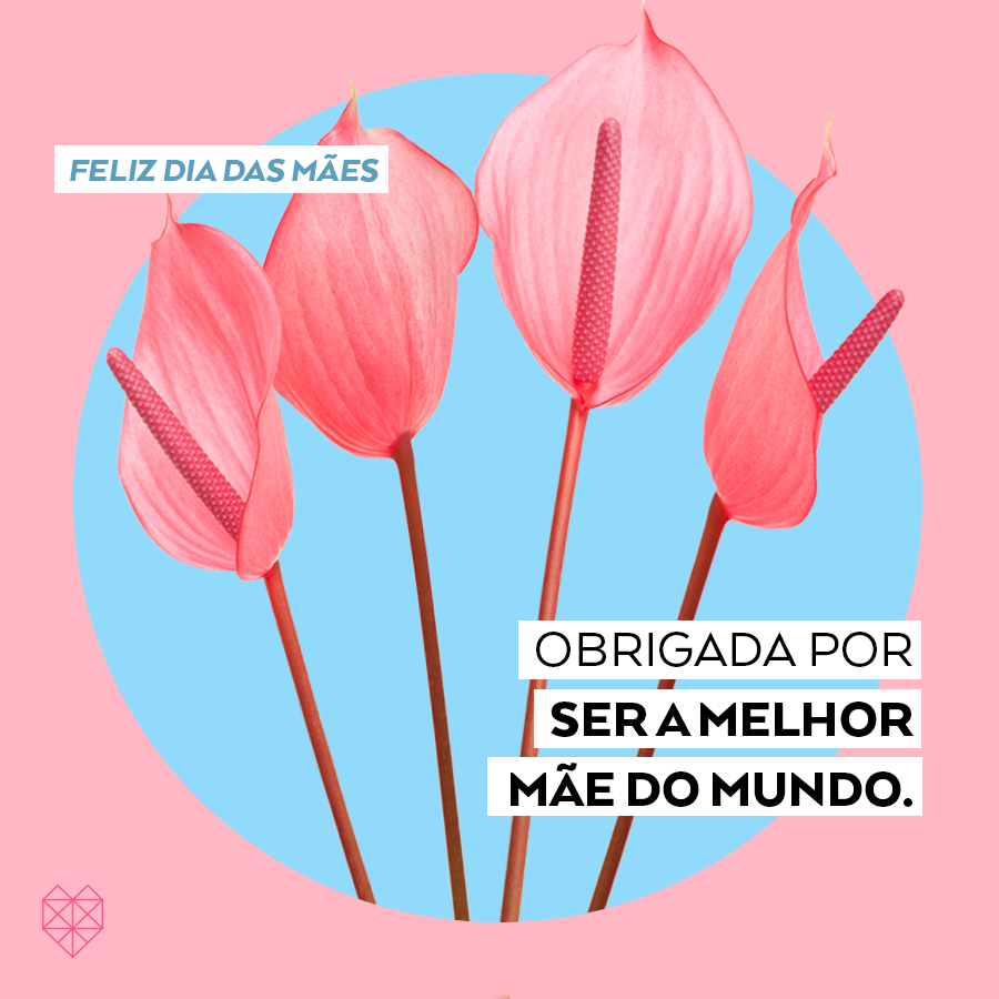 mensagem emocionante dia das maes mensagem emocionante dia das maes