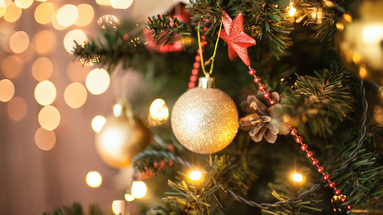 5 dicas para montar uma linda árvore de Natal | CLAUDIA