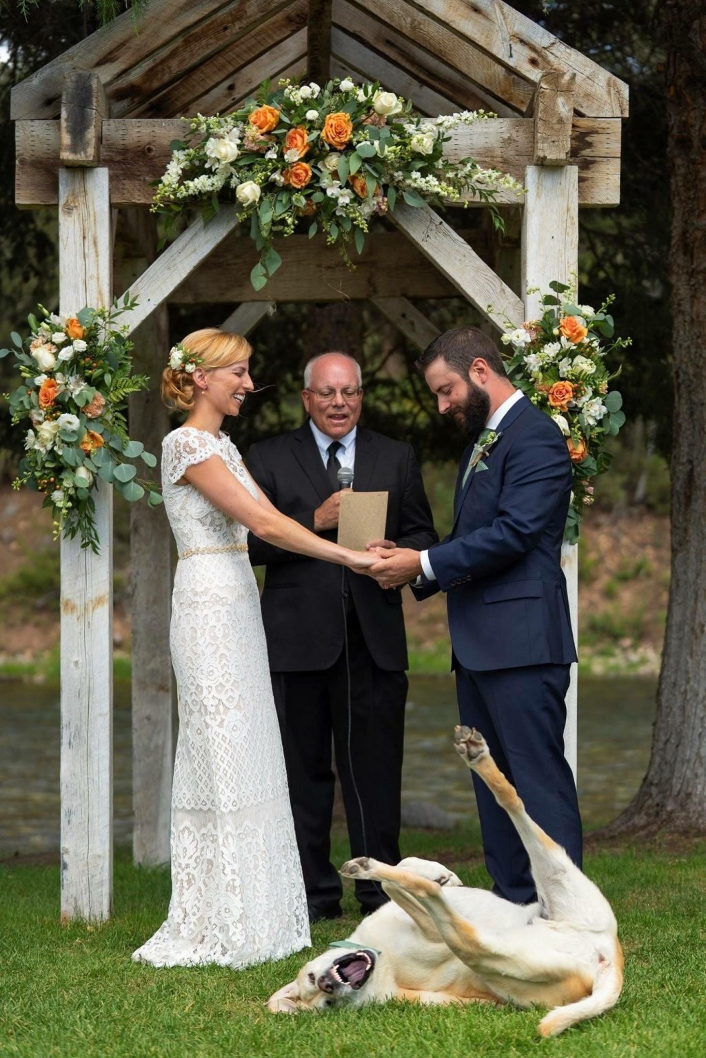 Labrador rouba a cena durante cerimônia de casamento dos donos