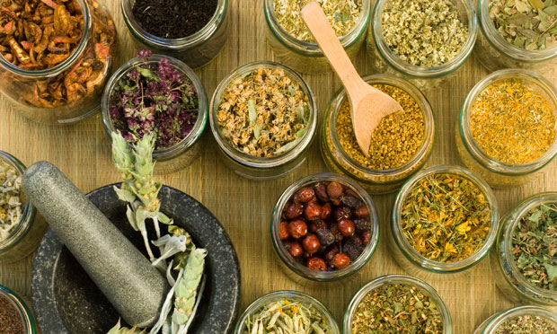 As melhores plantas medicinais para combater doenças de inverno