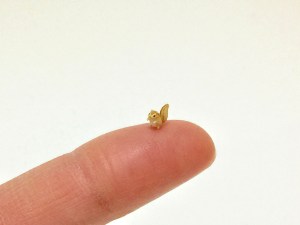 Esquilo em miniatura feito de argila