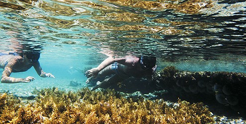 Passeios, hotéis e restaurantes para conhecer em Fernando de Noronha