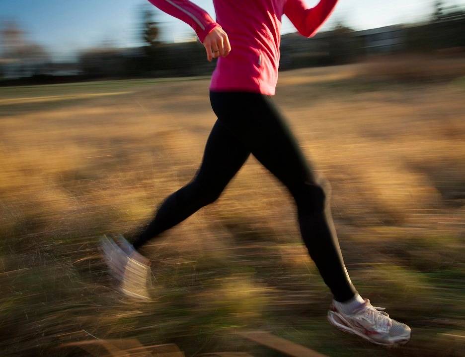 Exercícios