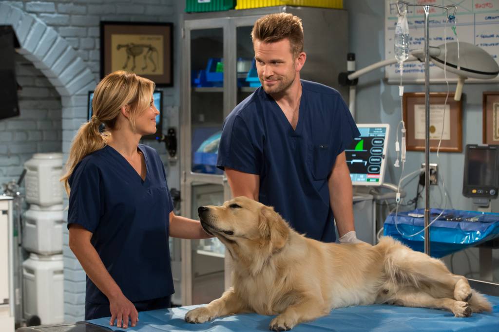 Cosmo o cachorro de Fuller House Cosmo o cachorro de Fuller House