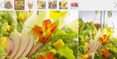 Flores comestíveis: conheça as diferentes espécies e receitas