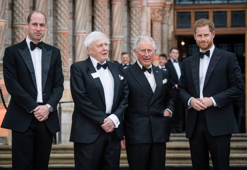 Nosso Planeta Netflix Estreia Principe William Charles Harry David Attenborough Nosso Planeta Netflix Estreia Principe William Charles Harry David Attenborough