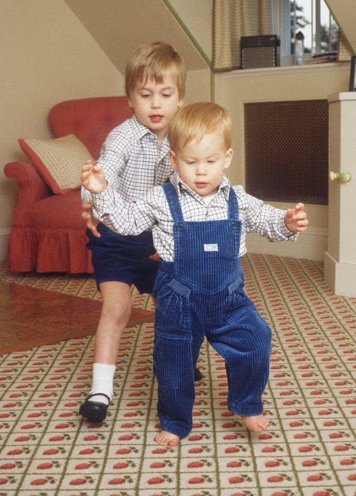 príncipe Harry e príncipe William