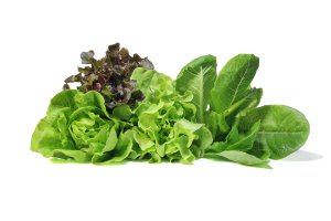 alface salada folhas