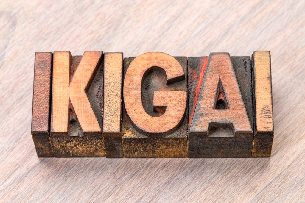 Ikigai: conheça o segredo japonês para uma vida longa e feliz