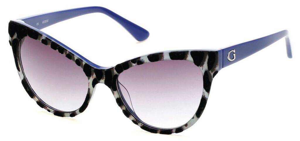 Divulga&ccedil;&atilde;o