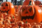 Origem do Halloween – Dia das Bruxas