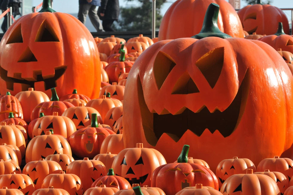 31 Filmes de Halloween / Dia das Bruxas no Mês de Outubro - Criada