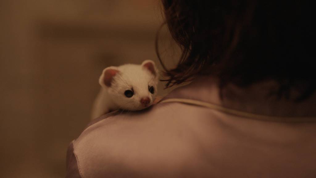 His Dark Materials His Dark Materials