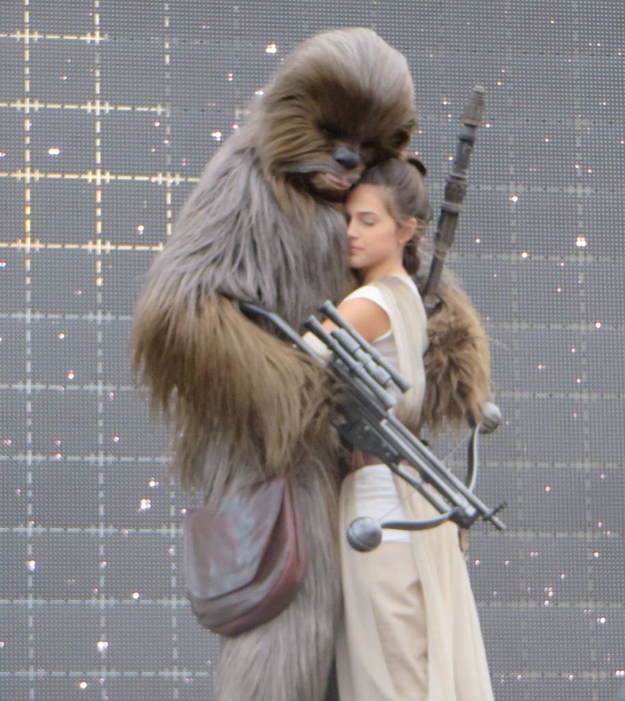 Chewbacca Rey Star Wars Dinsey