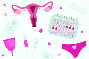 ovário, menstruação, calendário, absorvente, calcinha, coletor, ciclo
