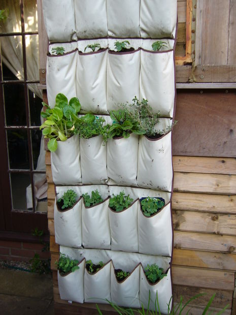 Jardim vertical