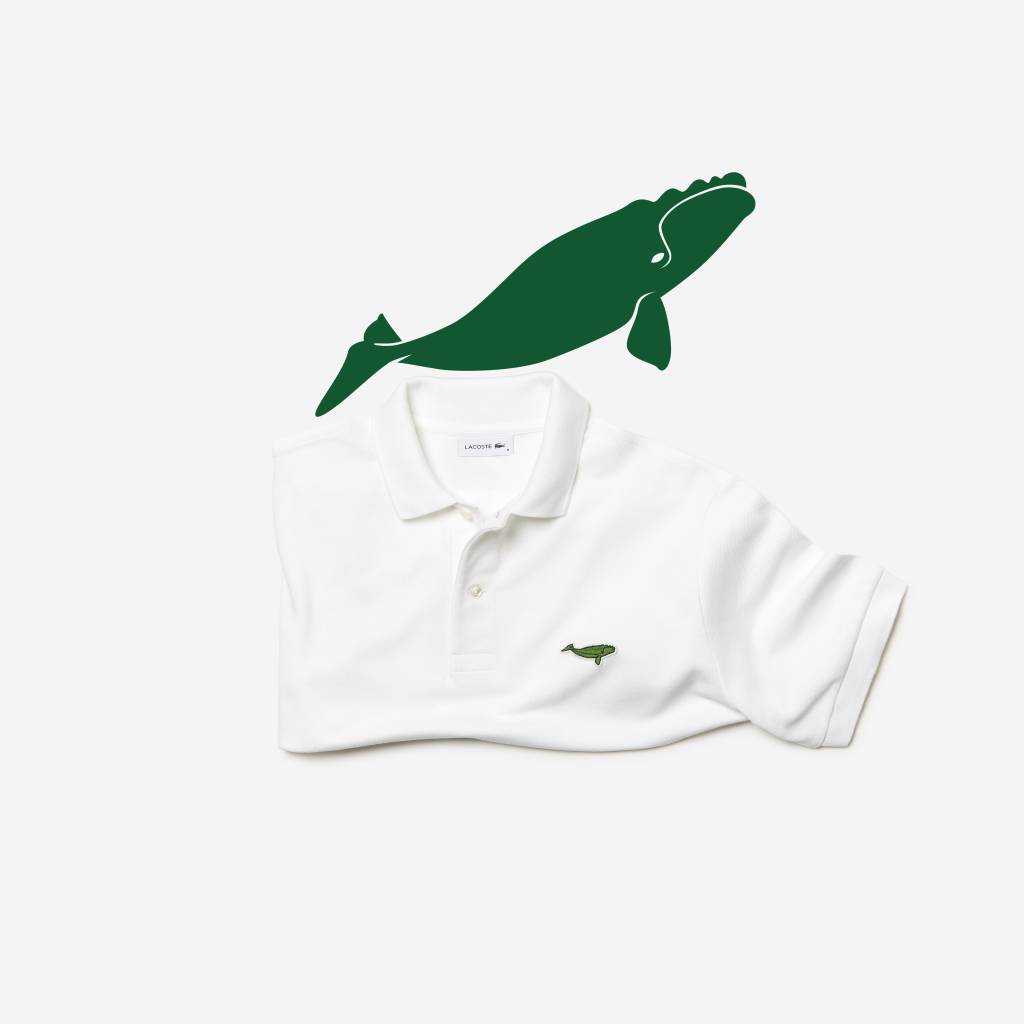 lacoste-x-save-our-pieces-north-atlantic-right-whale-packshot-polo_0116-1 lacoste-x-save-our-pieces-north-atlantic-right-whale-packshot-polo_0116-1