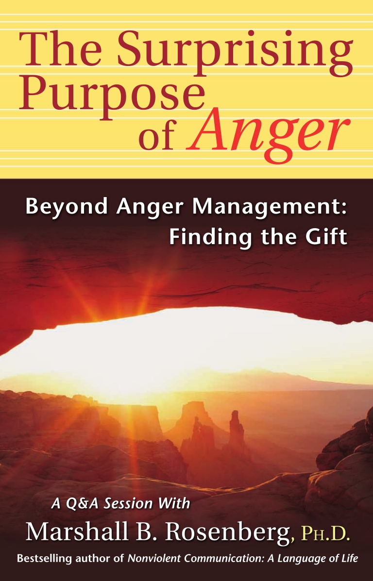Livro sobre comunicação não-violenta -- The Surprising Purpose of Anger