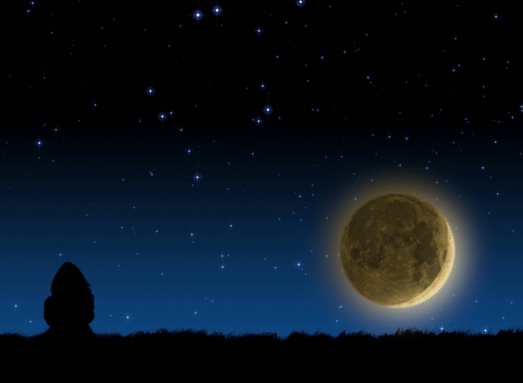 Lonesome girl spectating moonset on a starry skies