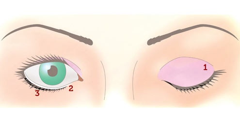 Truques de make para ter olhos perfeitos