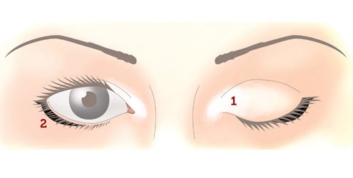 Truques de make para ter olhos perfeitos