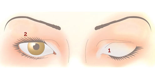 Truques de make para ter olhos perfeitos