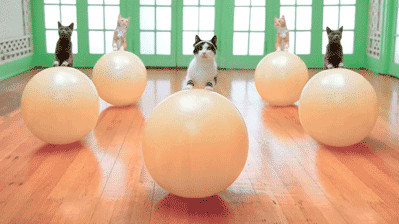 Reprodução/Tumblr heymuffin Reprodução/Tumblr heymuffin
