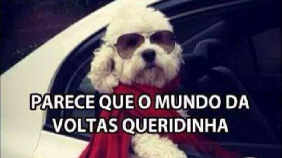 meme-mundo-da-voltas