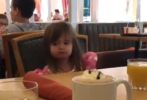 Menina rouba a cena na internet com pedido inusitado na Disney