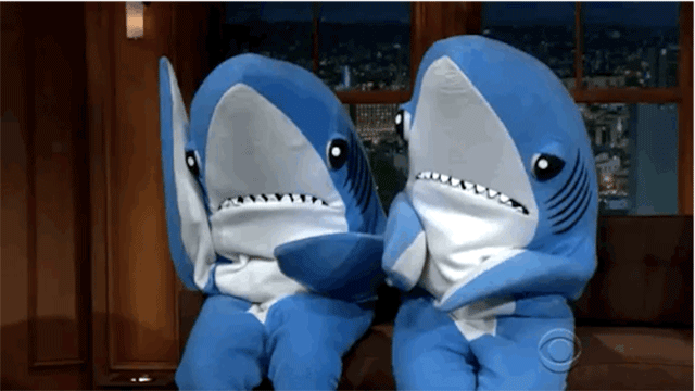Reprodução/Giphy Reprodução/Giphy