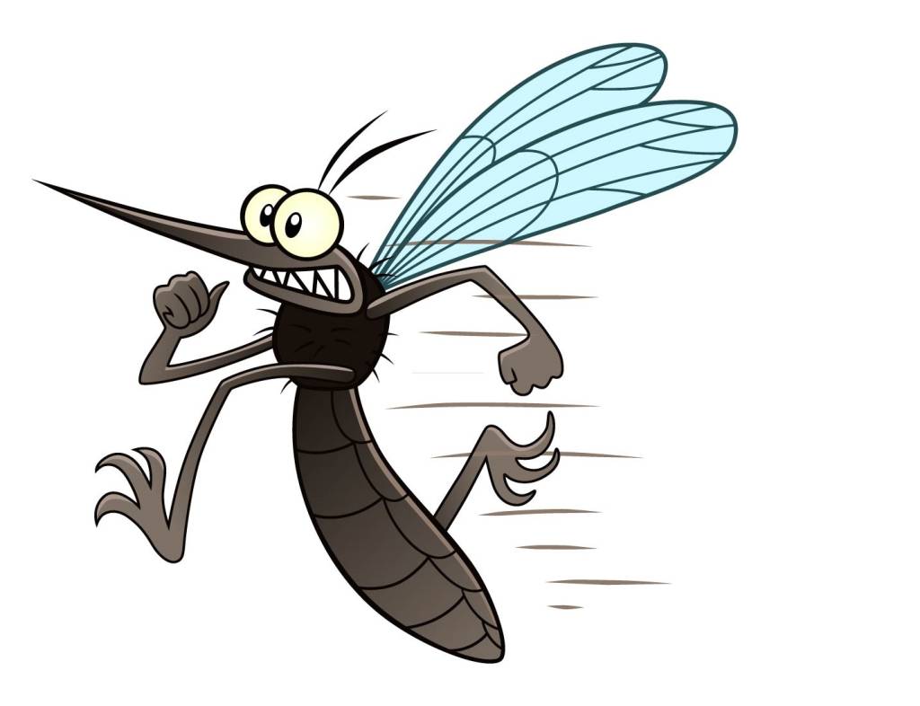 Xô! 10 produtos para afastar (ou eliminar) pernilongos sem usar inseticida