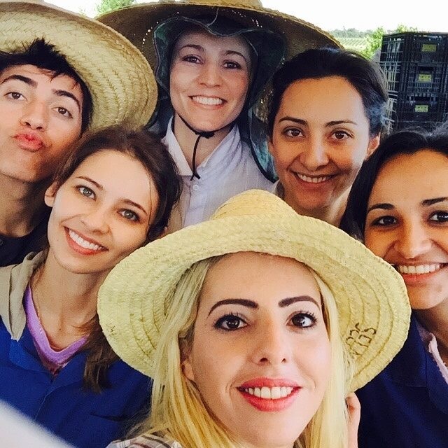 Noiva do Cordeiro no Instagram