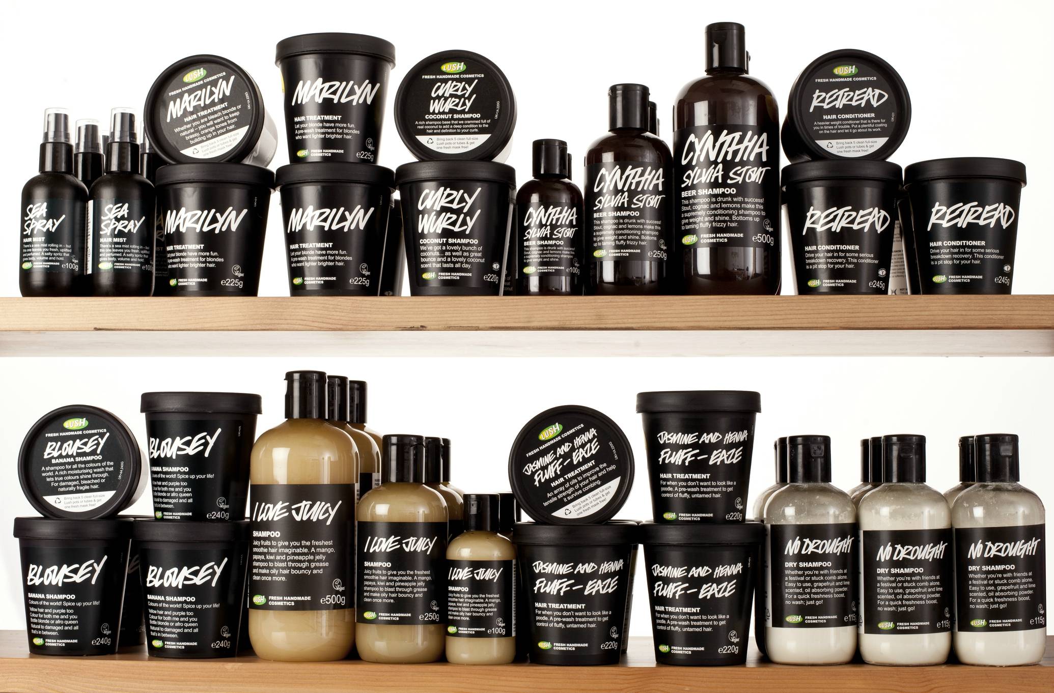 Divulga&ccedil;&atilde;o