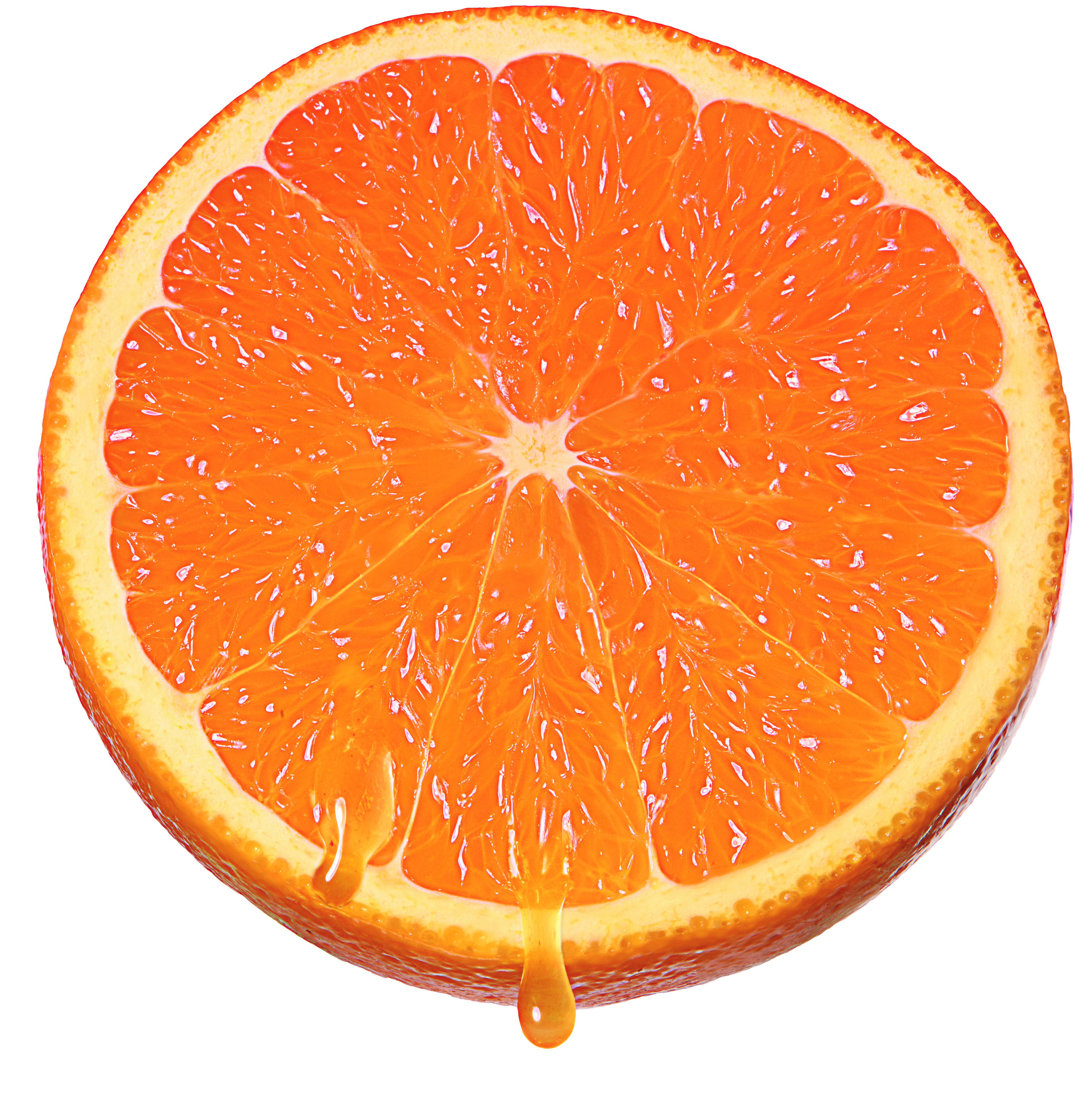 Divulga&ccedil;&atilde;o