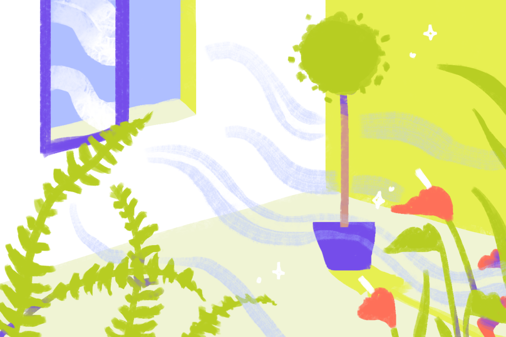 Plantas recomendadas pela NASA para purificar o ar de casa