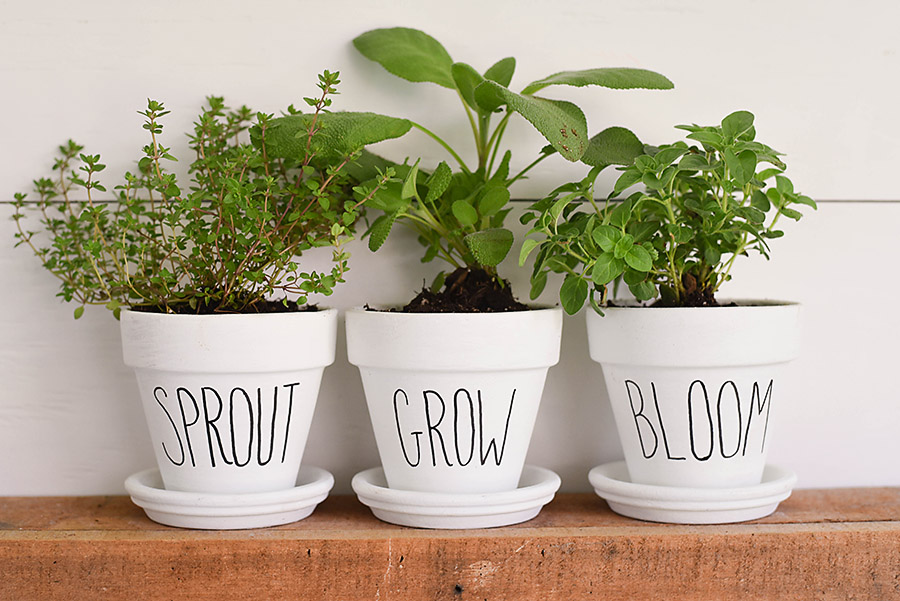 Decoração DIY Vaso Decoração DIY Vaso