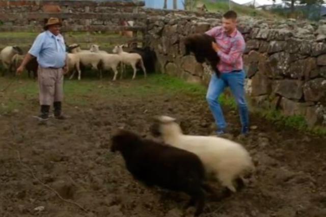 Reprodu&ccedil;&atilde;o / GNT