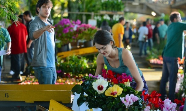 Sangue Bom: conheça o enredo da próxima novela das 7h da Globo Sangue Bom: conheça o enredo da próxima novela das 7h da Globo