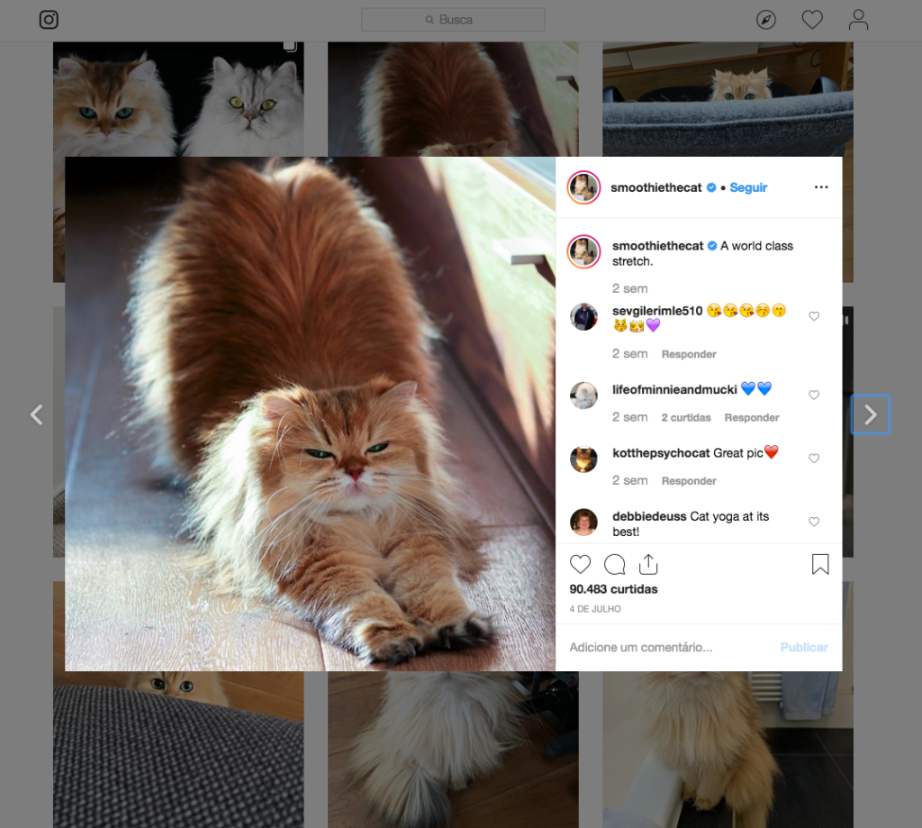 Print do Instagram screen-shot-2019-07-22-at-4.47.08-pm
