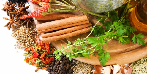 Dieta das calorias negativas