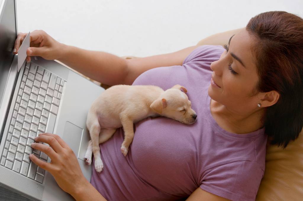 Young woman using a laptop and a puppy lying on her