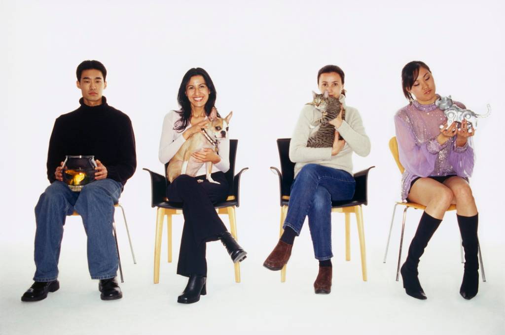 Quiz: Qual é o pet ideal para seu estilo de vida?