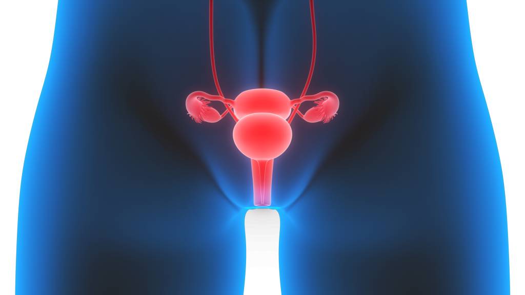 A vaporização vaginal faz bem à saúde íntima? Saiba mais sobre a técnica