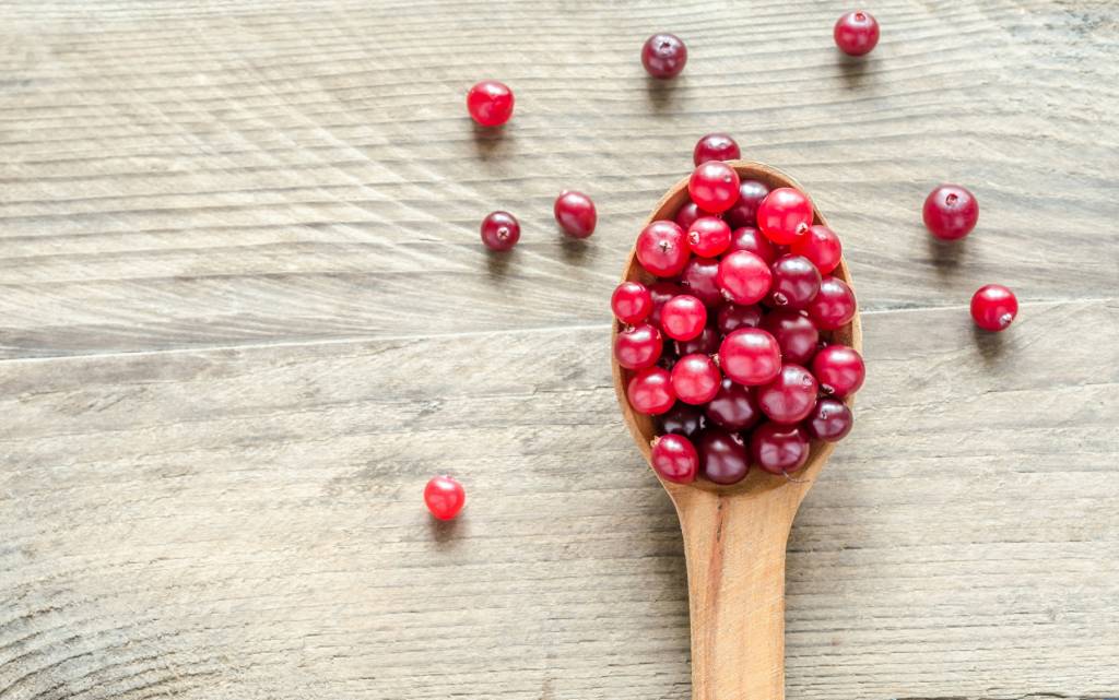 Fresh cranberries