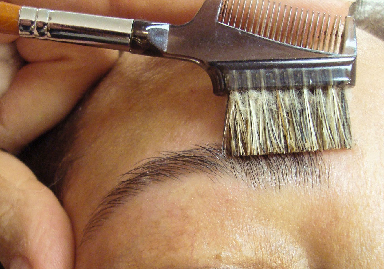 Divulga&ccedil;&atilde;o